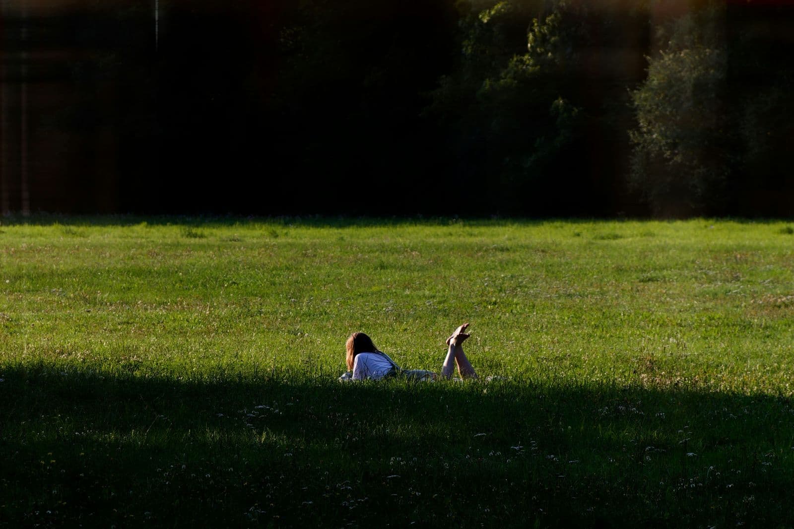 Person relaxing on grass