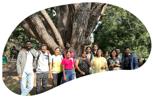 Hands holding a fern leaf